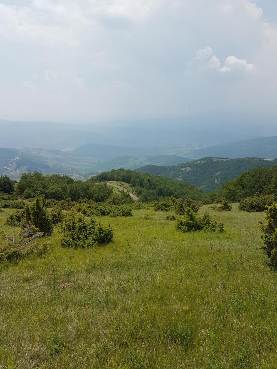 Milmari M18 Kopaonik Apartamento Exterior foto
